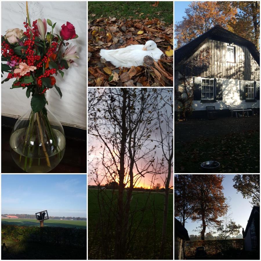 Bed and Breakfast Grenier's Punthorst Zewnętrze zdjęcie