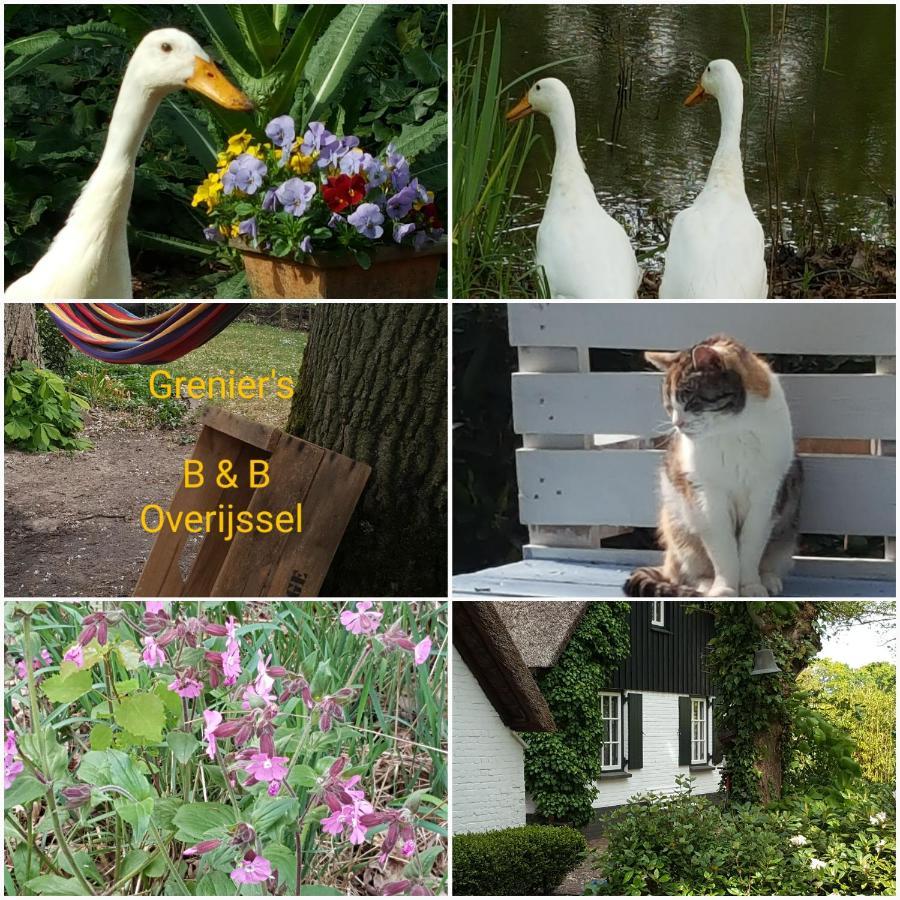 Bed and Breakfast Grenier's Punthorst Zewnętrze zdjęcie